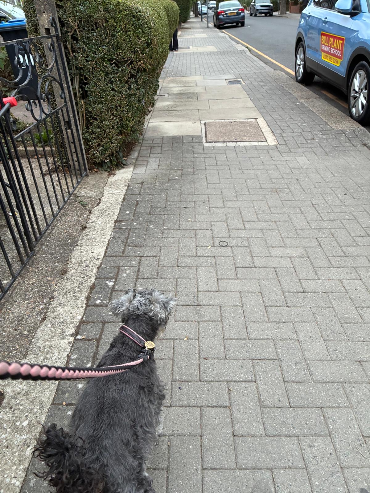 Largely clear pavement