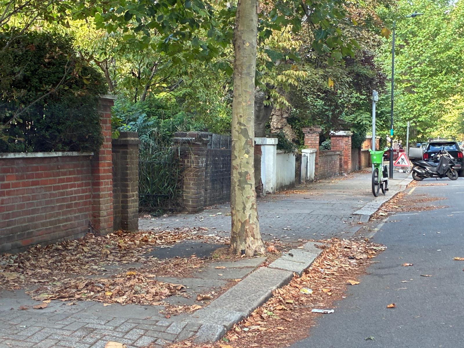 Leaves gathered along a kerb