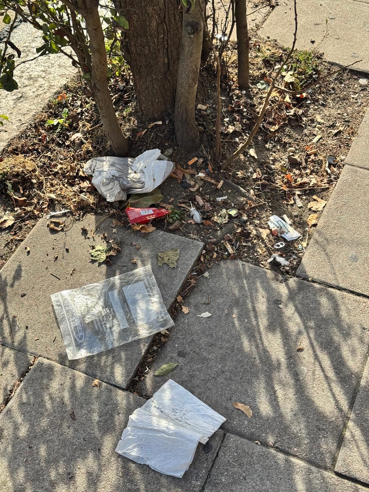 Several pieces of litter around a tree pit
